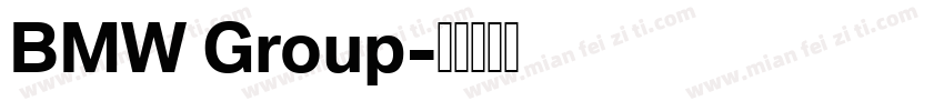 BMW Group字体转换